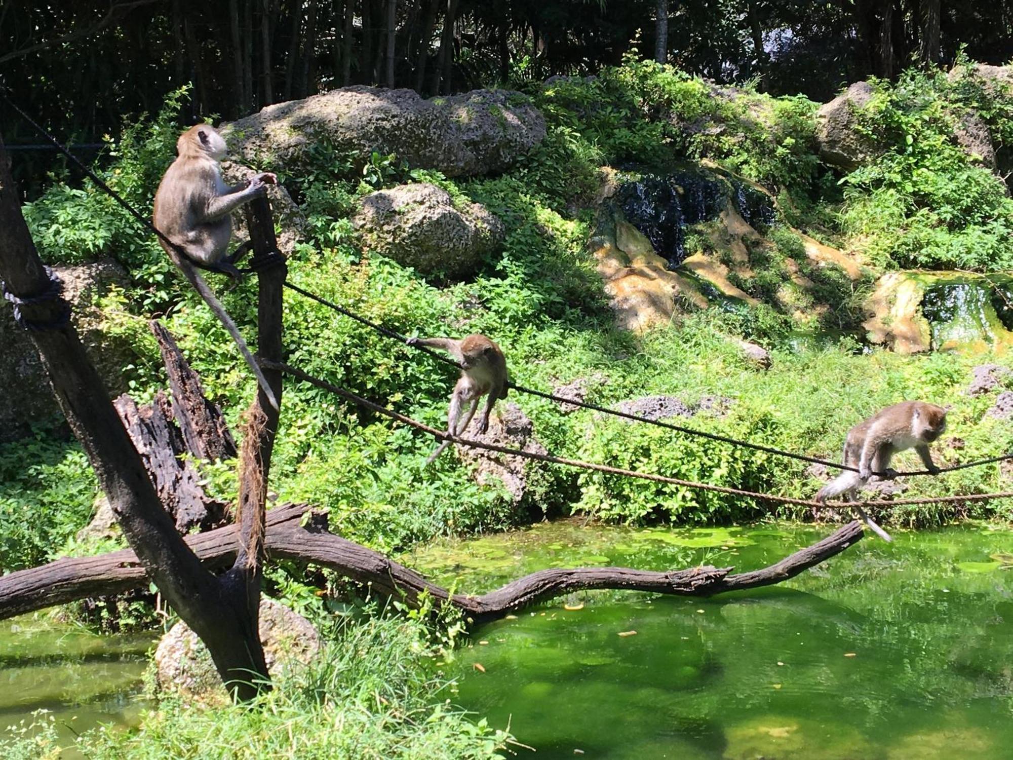 فيلا Magical Wonderkoi House In A Japanese Koi Garden ميامي المظهر الخارجي الصورة