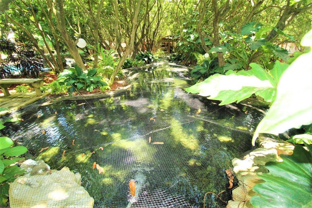 فيلا Magical Wonderkoi House In A Japanese Koi Garden ميامي المظهر الخارجي الصورة